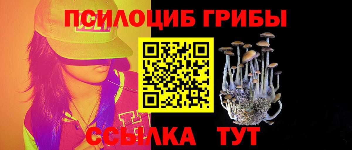 Галлюциногенные грибы Psilocybine cubensis  купить   Анжеро-Судженск  Вход с VPN 
